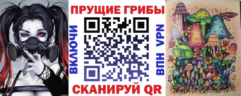 Галлюциногенные грибы Psilocybine cubensis Новотроицк